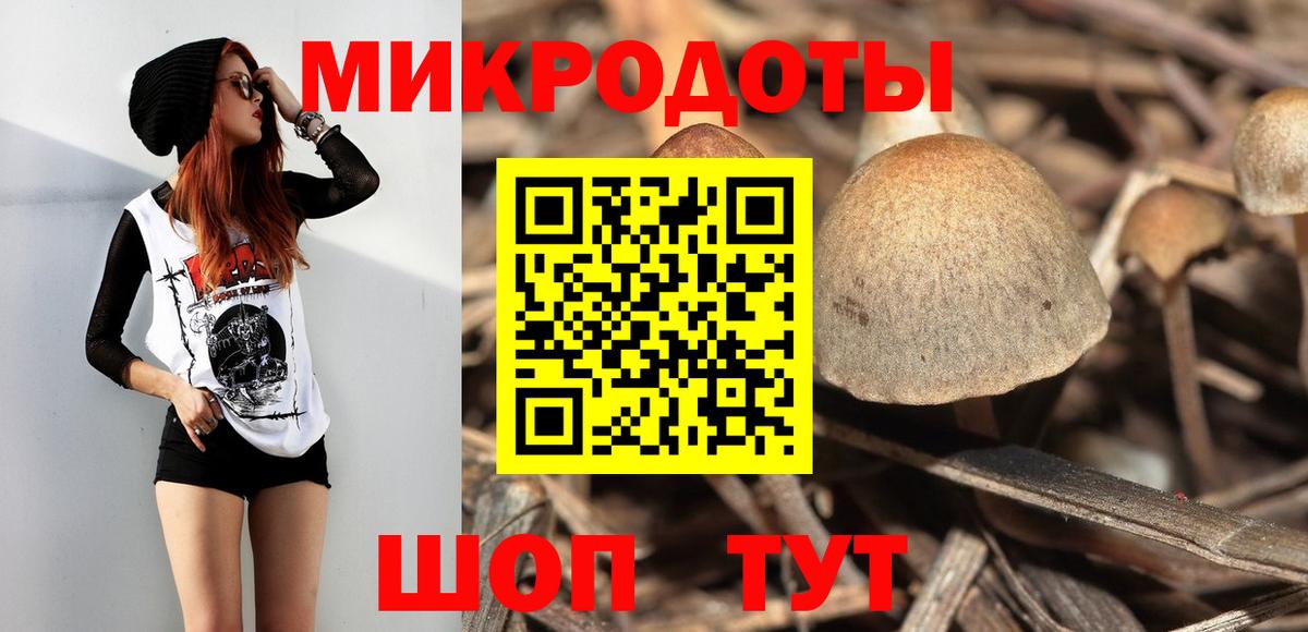 Псилоцибиновые грибы мицелий  где купить наркоту  Кизляр  Вход с VPN 